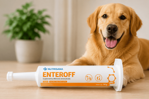 Enteroff Nutrisana – Suplemento Mineral Aminoácido em Pasta