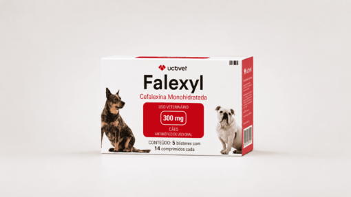 Falexyl 300 mg – Antibiótico para cães 70 comprimidos