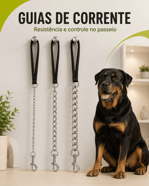 Guia de corrente