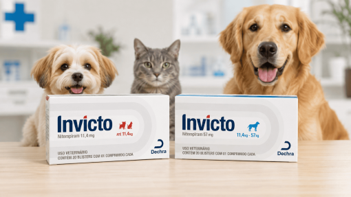 Invicto Antipulgas