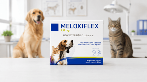 Meloxiflex 2,0 mg – Alívio da dor e inflamação