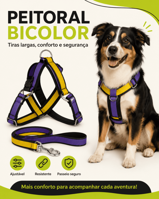 Peitoral bicolor roxo e amarelo